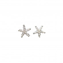 Brincos de Estrelas do Mar