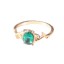 Anel Dourado Oval Verde