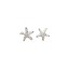 Brincos de Estrelas do Mar