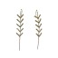 Brincos Ear Cuffs Dourados com Zircônias